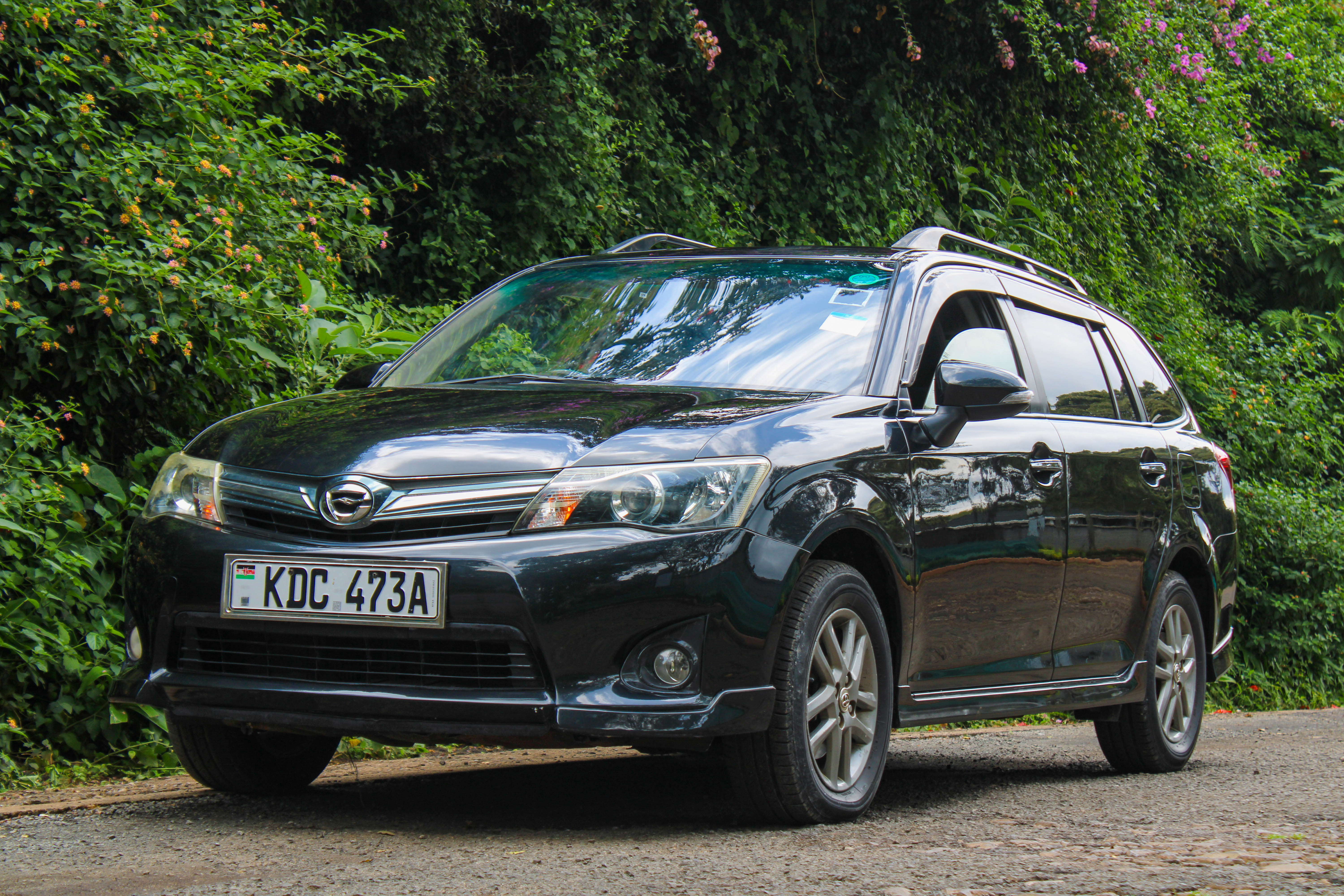 Toyota Fielder WXB